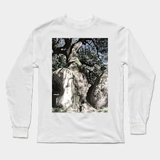 Tree on the rock Long Sleeve T-Shirt